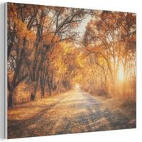 AKUSTIKBILD Wald - Herbst - Bäume - Waldweg - Natur Wanddeko 70x50 cm - Bernsteinfarben, Kunststoff (70/50/0.9cm) - MuchoWow