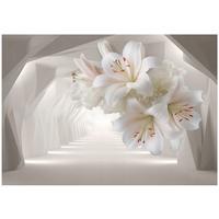 FOTOTAPETE 3D Abstrakt Beige 300x210 cm - Multicolor, Papier (300/210cm) - Wallarena