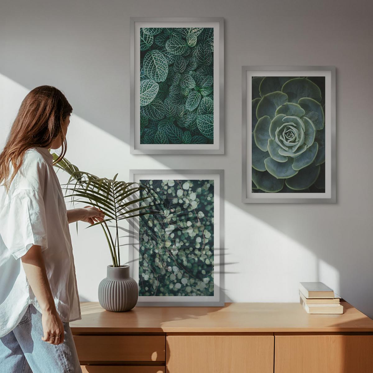 BILDER SET 3er Set - 40x60 cm Silberner Rahmen - Sukkulenten - Silberfarben, Kunststoff (40/60cm) - TULUP