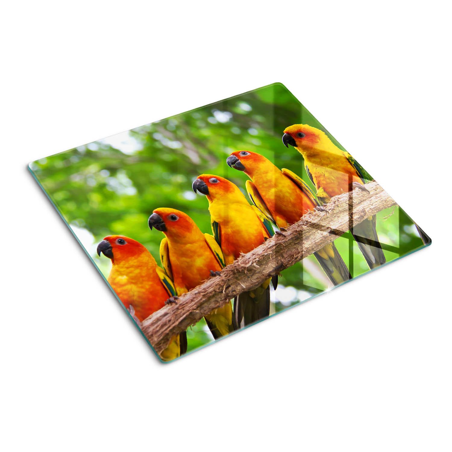 GLASPLATTE 60x52 cm Ein Zweig der Papageien - Orange, Glas (60/0.4/52cm) - TULUP