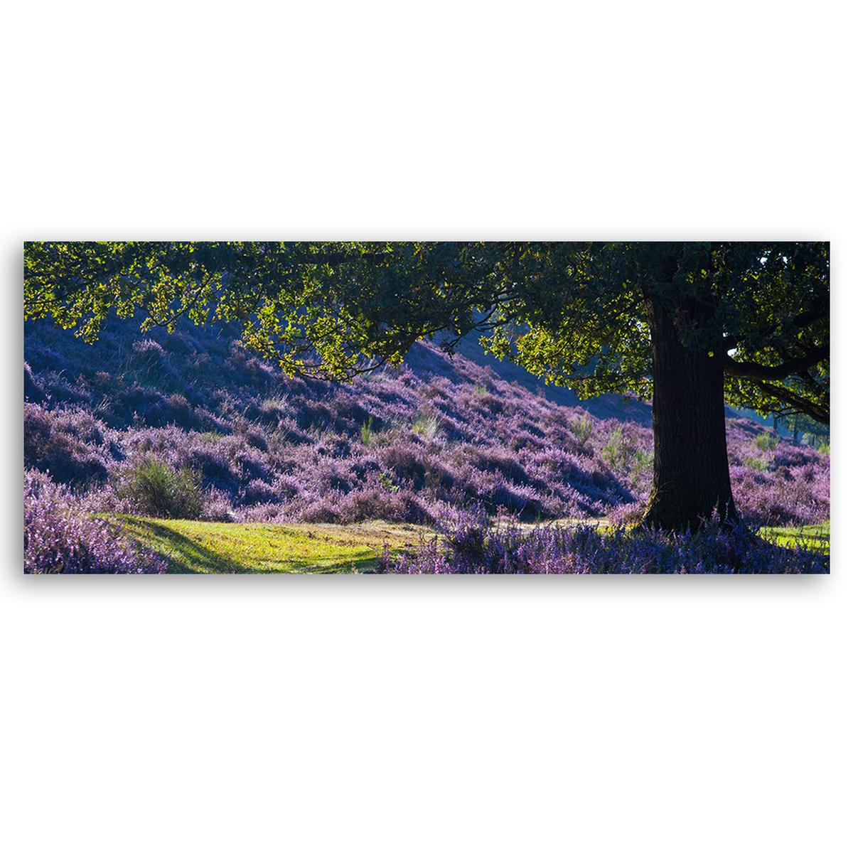 WANDBILD lavendel in der provence - Lila, Textil (90/30cm) - Feeby