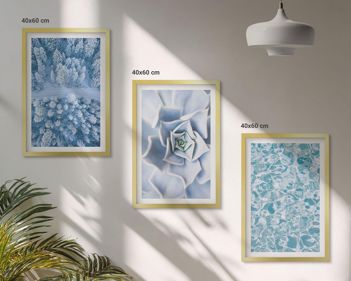 BILDER SET 3er Set - 40x60 cm Goldrahmen - Winterwald blaue Blume Wasser - Goldfarben, Kunststoff (40/60cm) - TULUP