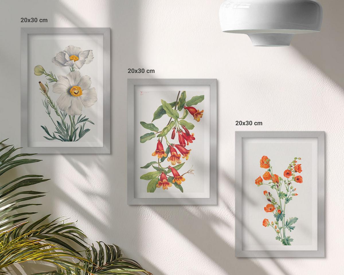 BILDER SET 3er Set - 20x30 cm Silberner Rahmen - Retro-Blumenarrangements - Silberfarben, Kunststoff (20/30cm) - TULUP