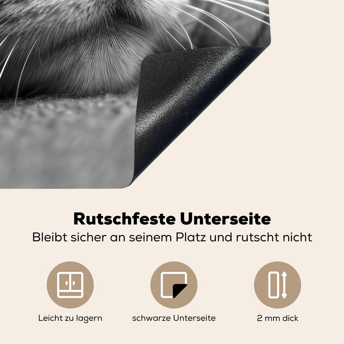 HERDABDECKPLATTE Katze - Grau - Tiere - Katze Induktionsmatte 78x78 cm - Grau, Kunststoff (78/78/0.2cm) - MuchoWow