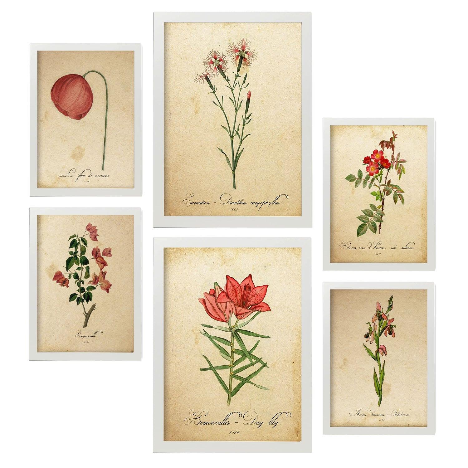 POSTER Set Mit 6 Rote Blumen Vollfarbige Natur Und Botanikdrucke Mit Blumenmotiven Im Vintage Papier Stil Innenarchitektur A3 & A4 Weißer Rahmen - Weiß, Papier (29/3cm) - Nacnic