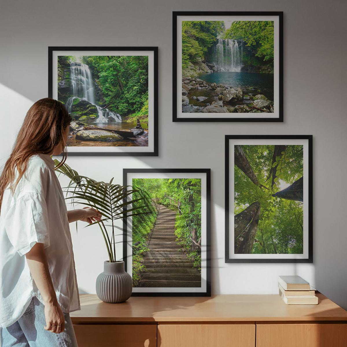 BILDER SET 4er Set - 50x50 cm & 40x60 cm Schwarzer Rahmen - Pfad Wald Wasserfall Vegetation - Schwarz, Kunststoff (50/50cm) - TULUP