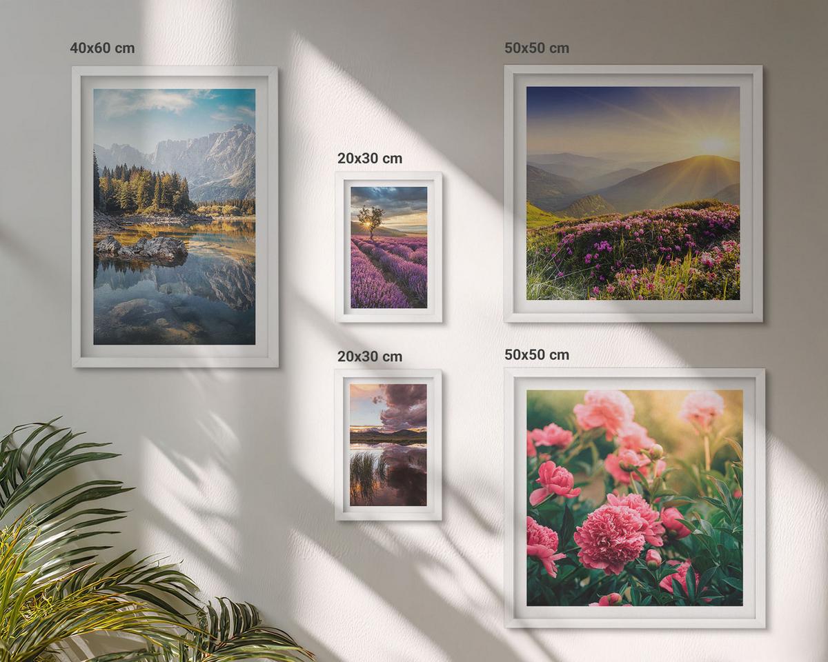 BILDER SET 5er Set - 50x50 cm & 20x30 cm & 40x60 cm Weißer Rahmen - Blumengarten, Bergwiese, Wasser - Weiß, Kunststoff (40/60cm) - TULUP