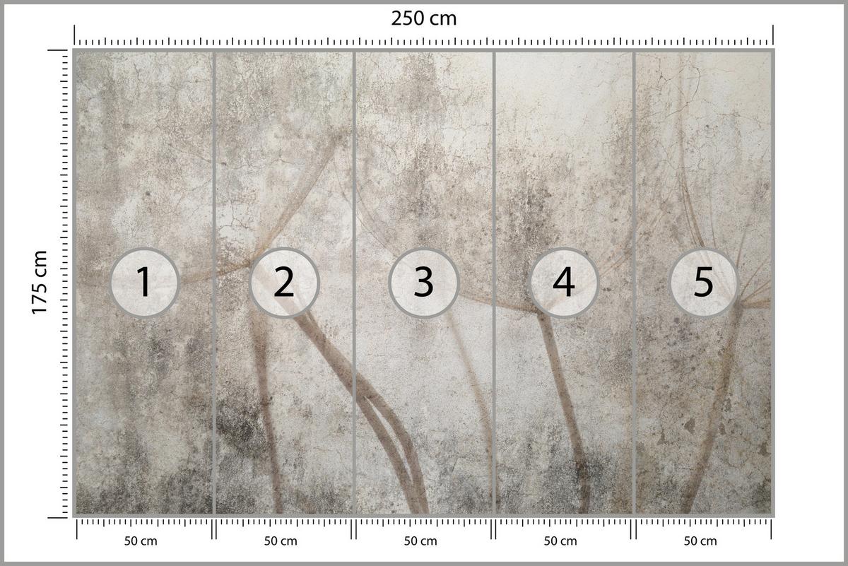FOTOTAPETE für Wohnzimmer Zarter Skizze Löwenzahn Grauer Beton Minimalistisch 250x175 - Beige/Braun, Papier (250/175cm) - Muralo