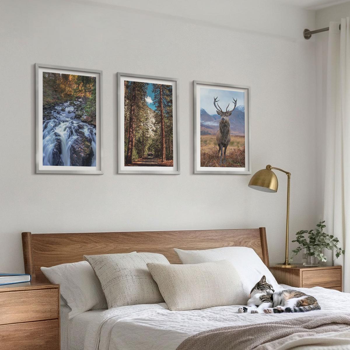 BILDER SET 3er Set - 40x60 cm Silberner Rahmen - Wasserfall Wald Berge Hirsch Natur - Silberfarben, Kunststoff (40/60cm) - TULUP