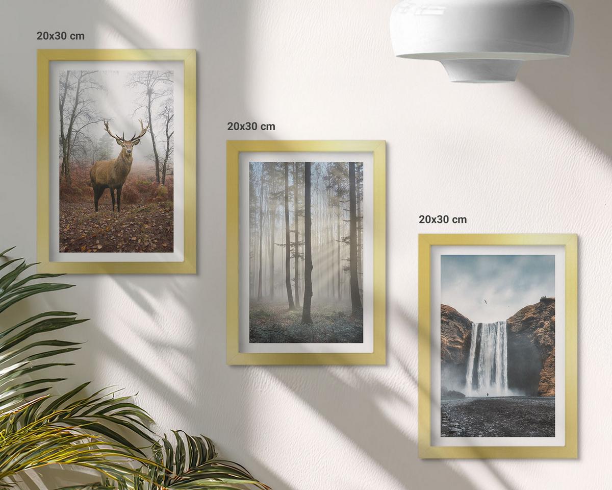 BILDER SET 3er Set - 20x30 cm Goldrahmen - Waldlandschaften, wilde Natur - Goldfarben, Kunststoff (20/30cm) - TULUP