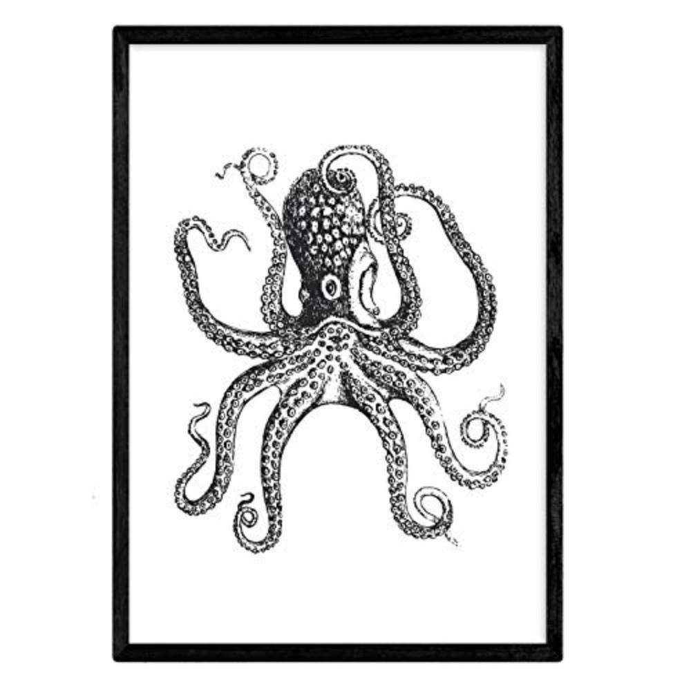 POSTER Pulpo A4 Rahmenlos - Klar, Papier (29.7/5/21cm) - Nacnic