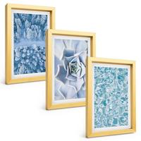 BILDER SET 3er Set - 20x30 cm Goldrahmen - Winterwald blaue Blume Wasser - Goldfarben, Kunststoff (20/30cm) - TULUP