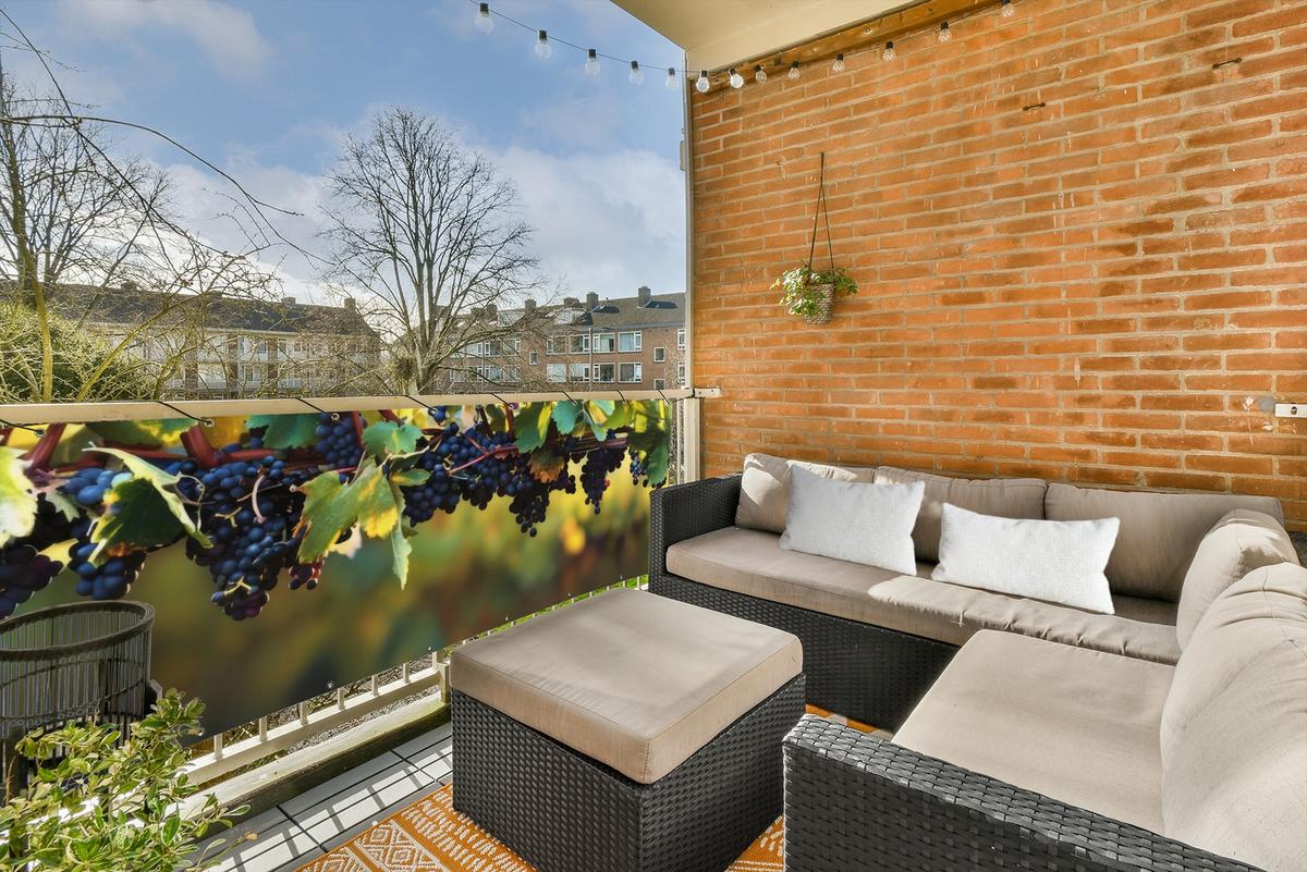 BALKON-SICHTSCHUTZ Trauben - Wein - Natur - Grün Windschutz 300x95 cm - Weinrot, Kunststoff (300/95cm) - MuchoWow