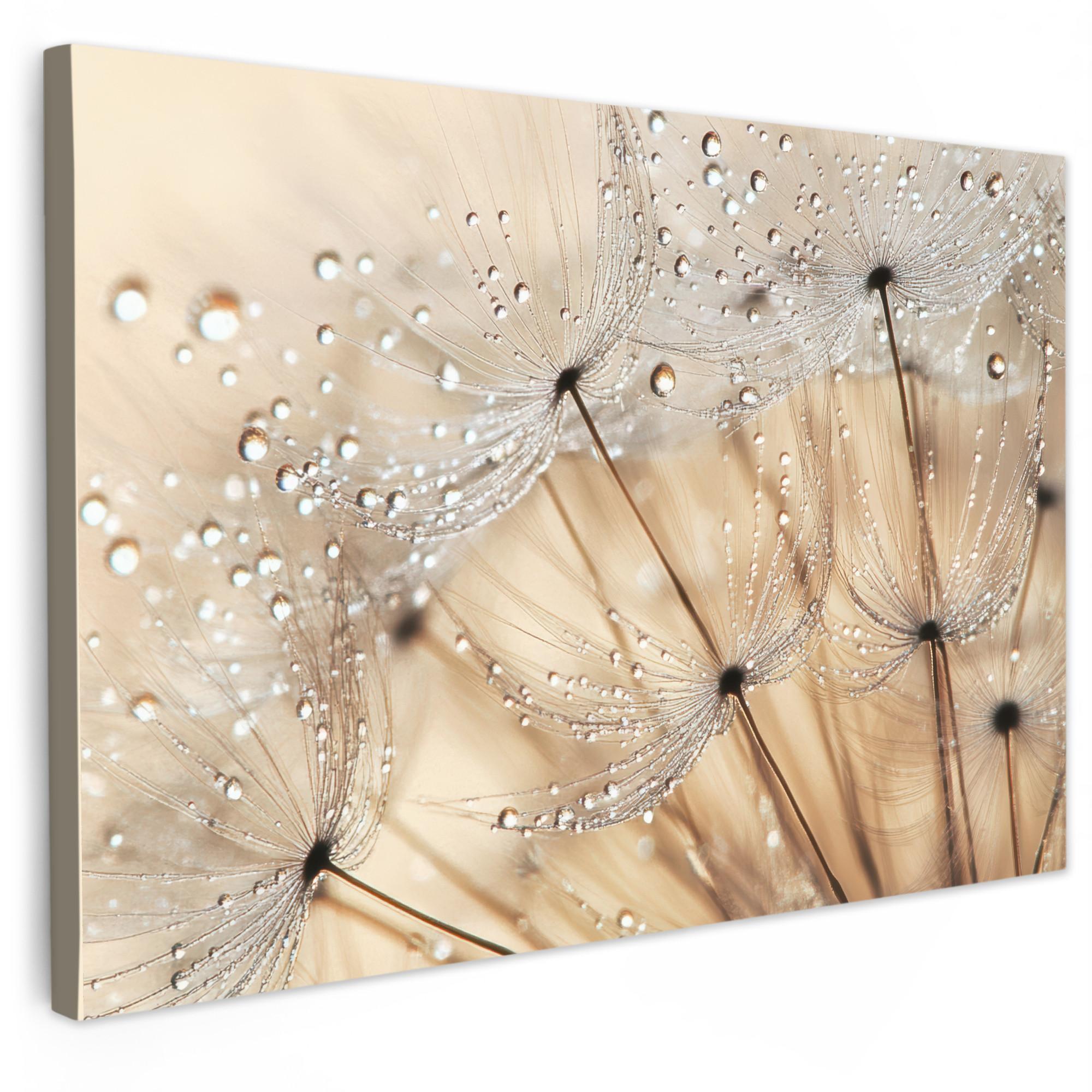 LEINWANDBILD Löwenzahn - Abstrakt - Natur - Beige Wohnzimmer Groß 120x80 cm - Braun, Textil (120/80cm) - MuchoWow