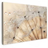 LEINWANDBILD Löwenzahn - Abstrakt - Natur - Beige Gemälde 60x40 cm - Braun, Textil (60/40cm) - MuchoWow