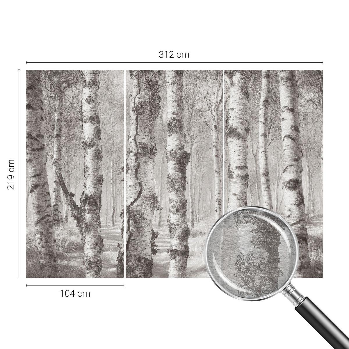 FOTOTAPETE 312x219 cm - Birkenwald - Schwarz, Textil (312/219cm) - Wallfluent
