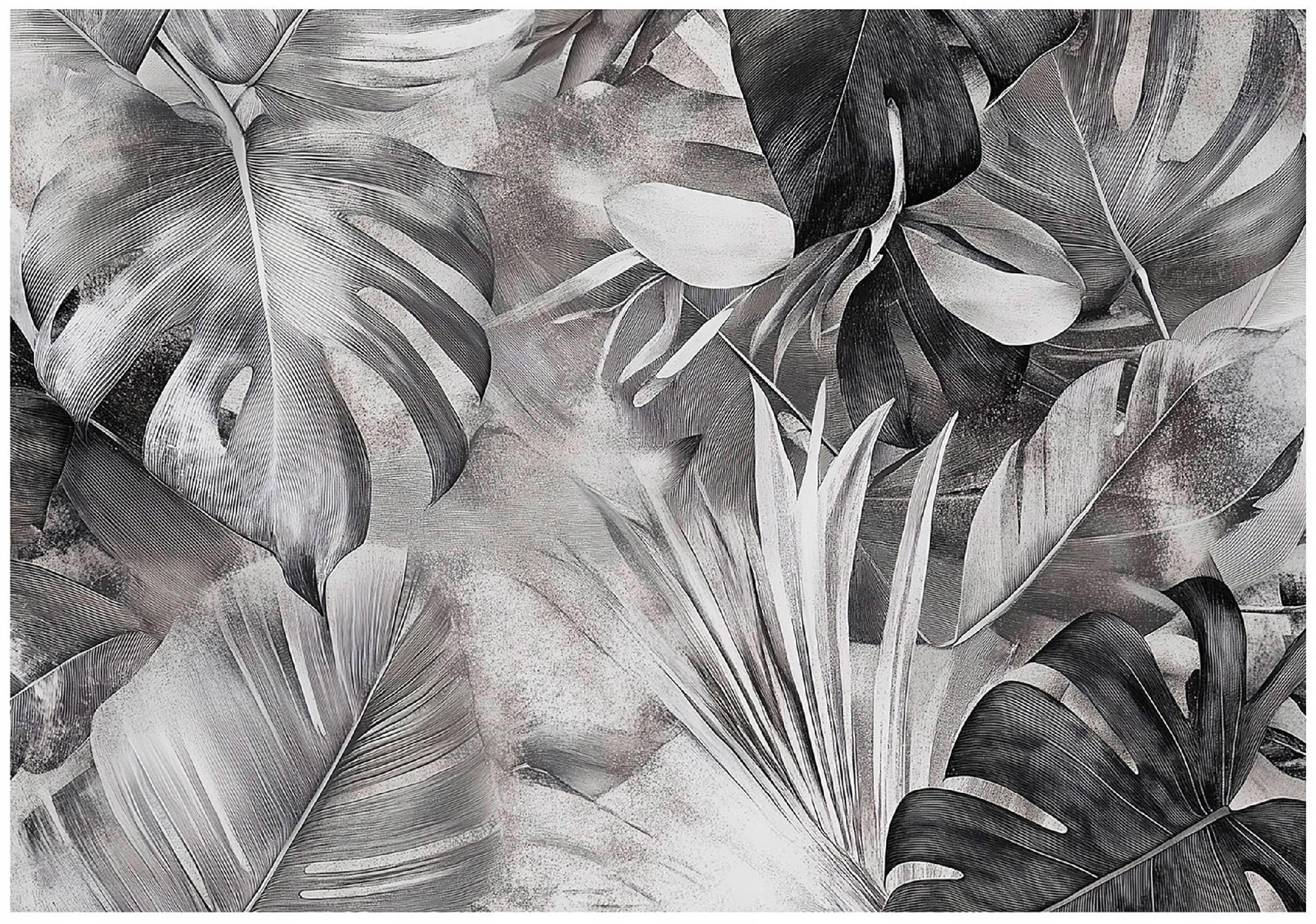 FOTOTAPETE Monstera Blätter Schwarz Weiß 300x210 - Multicolor, Papier (300/210cm) - Wallarena