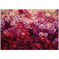 FOTOTAPETE Blumen Rosen Rosa 300x210 cm - Multicolor, Papier (300/210cm) - Wallarena