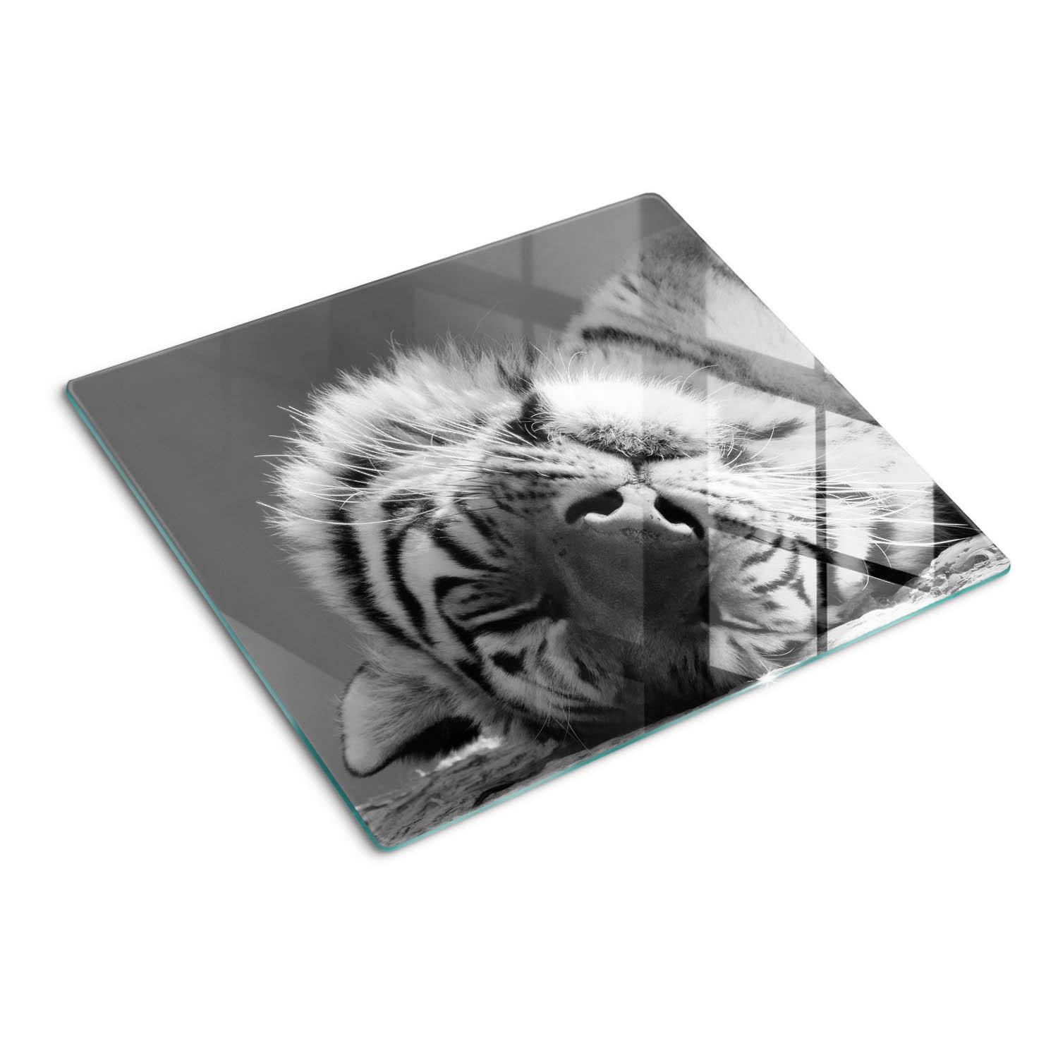 GLASPLATTE 60x52 cm Schlafender Tiger - Hellgrau, Glas (60/52cm) - TULUP
