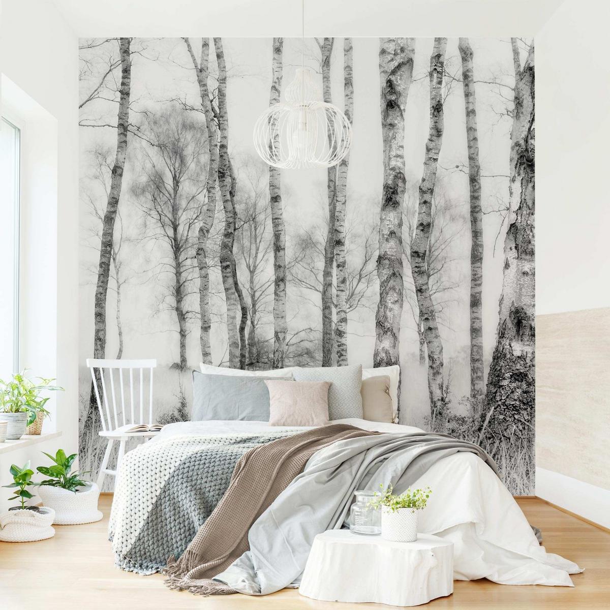 FOTOTAPETE Mystischer Birkenwald Schwarz-Weiß 240/240 cm - Schwarz, Papier (240/240cm) - Bilderwelten