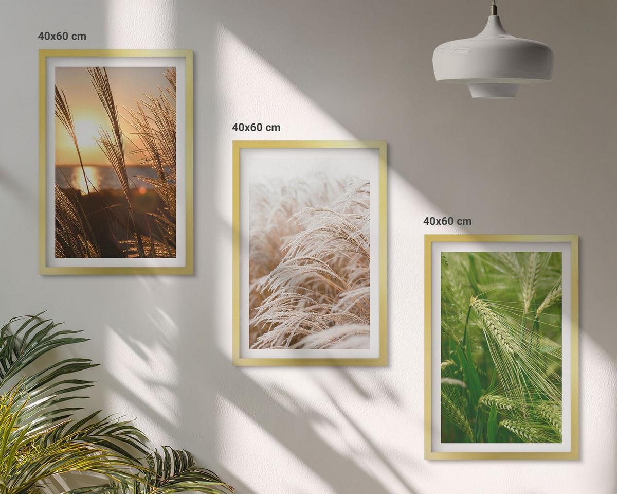 BILDER SET 3er Set - 40x60 cm Goldrahmen - Gräser farbenfrohe Natur - Goldfarben, Kunststoff (40/60cm) - TULUP