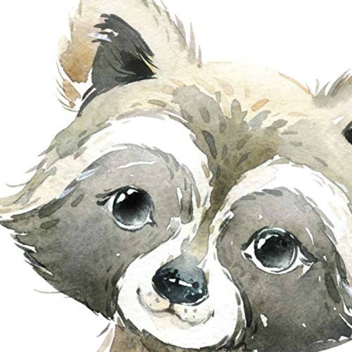 POSTER Set mit 4 Waschbär Stinktier Reh und Fuchs A3 Rahmenlos - Klar, Papier (29.7/3cm) - Nacnic