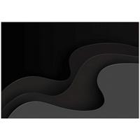 FOTOTAPETE Abstrakt Wellen Schwarz 250x175 cm - Multicolor, Papier (250/175cm) - Wallarena