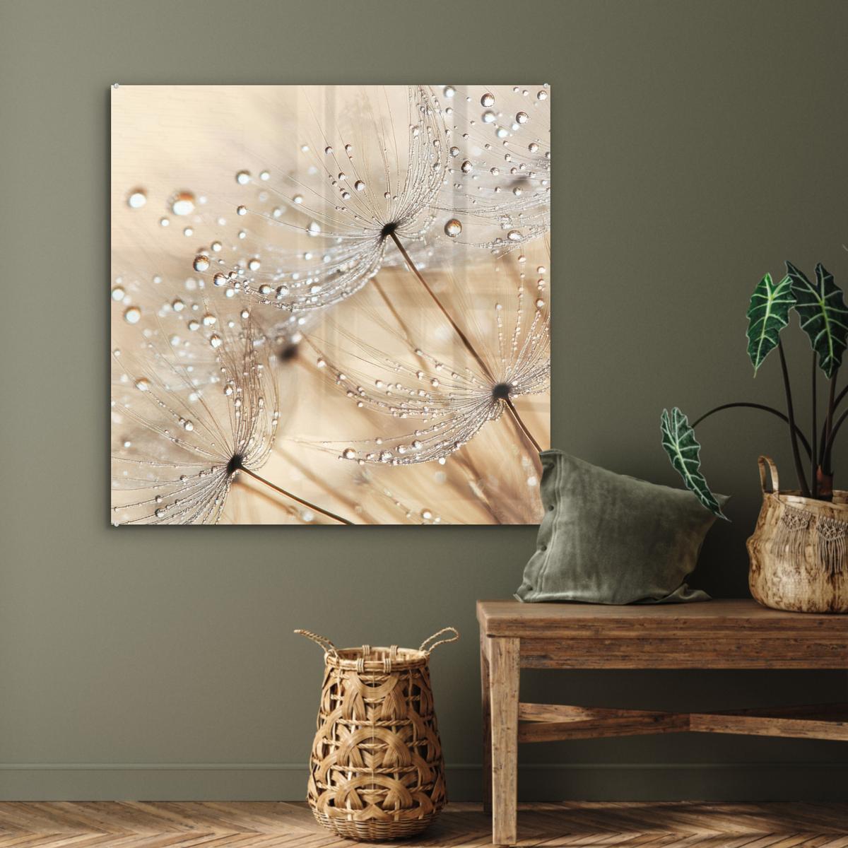 ACRYLGLASBILD Löwenzahn - Abstrakt - Natur - Beige 90x90 cm - Braun, Glas (90/90cm) - MuchoWow