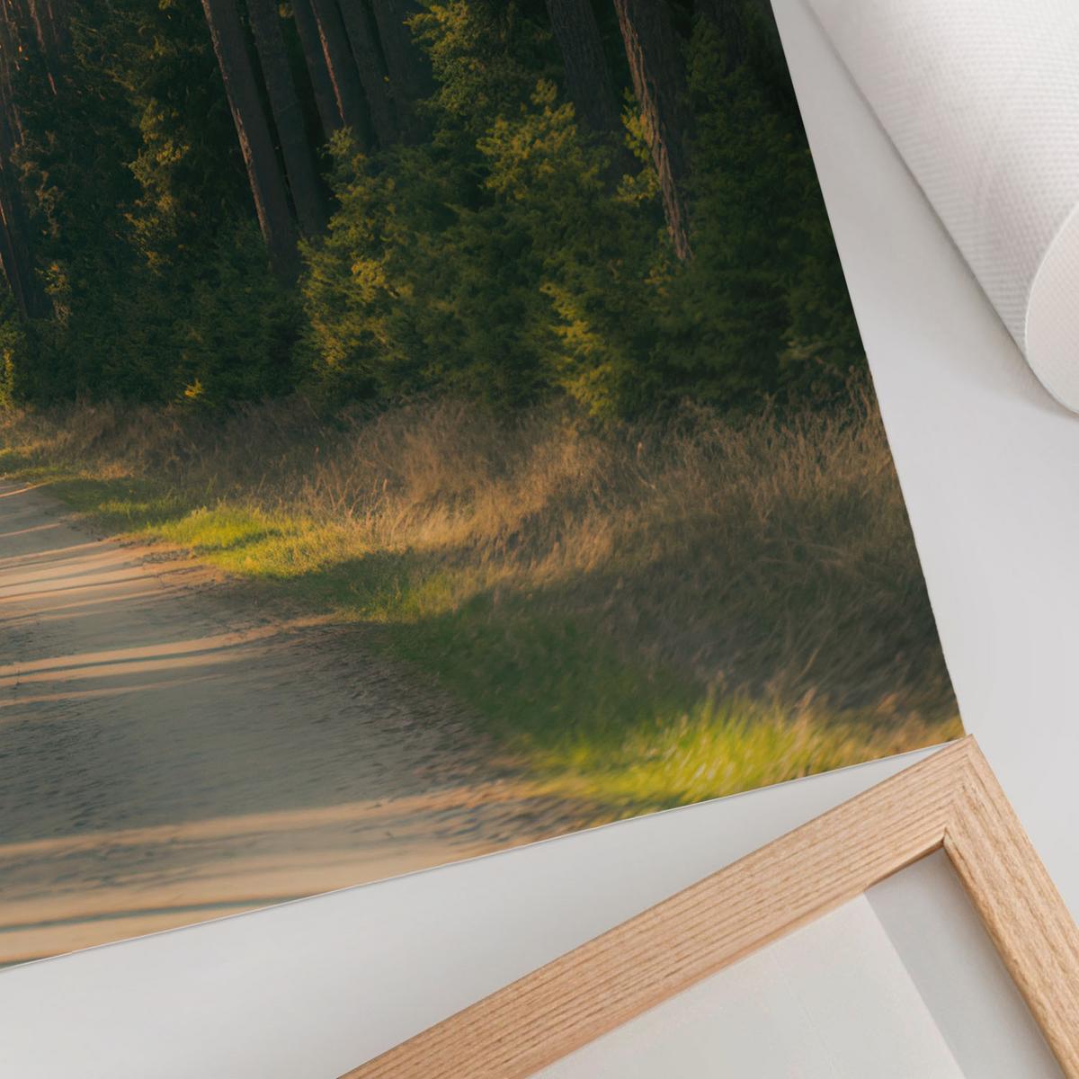 POSTER - 42x59 cm - Nevara - Waldweg - Grün, Textil (42/59/0.1cm) - TULUP