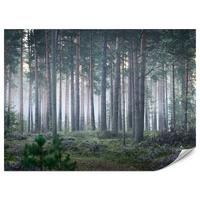FOTOTAPETE für Wohnzimmer Nebelwald mit Bäumen Moos Grün 450x315 - Grau/Grün, Papier (450/315cm) - Muralo