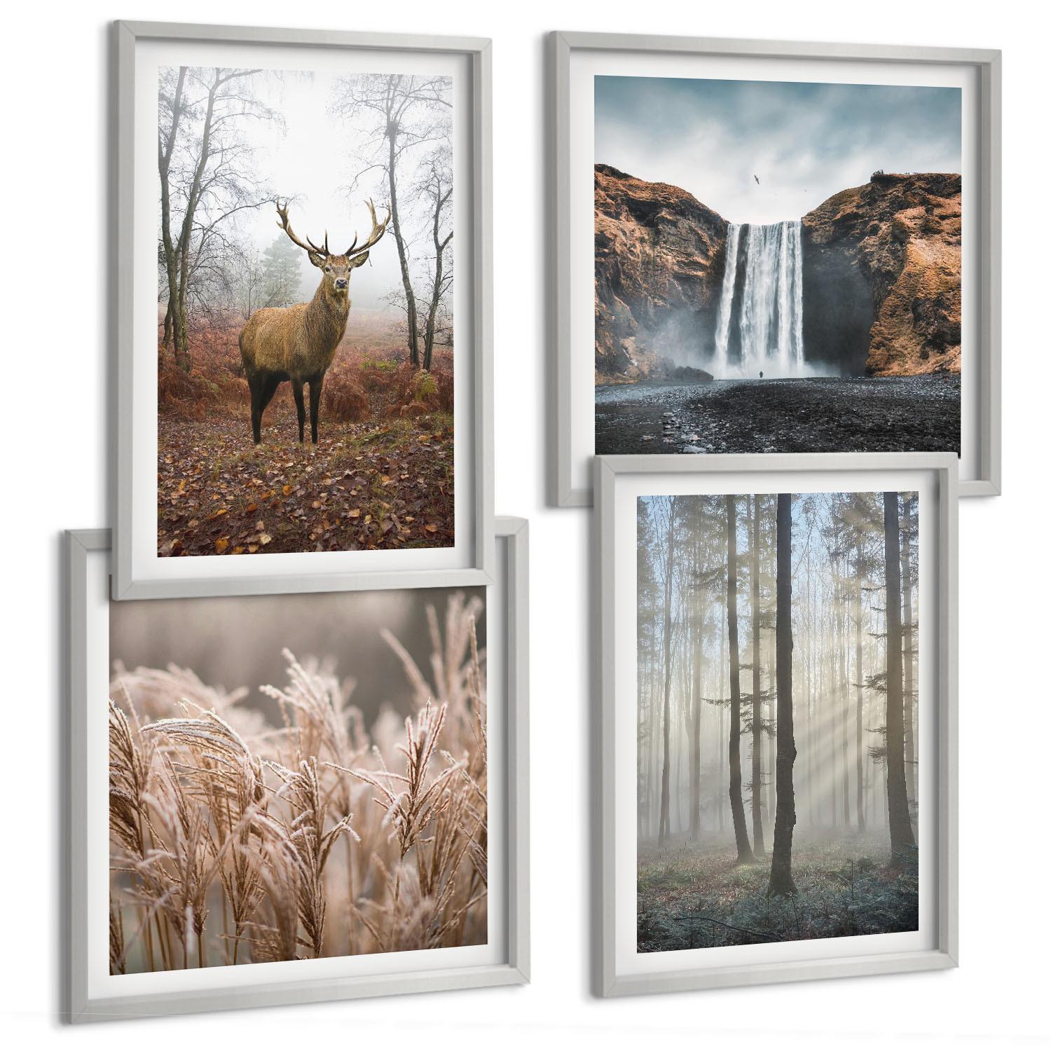 BILDER SET 4er Set - 50x50 cm & 40x60 cm Silberner Rahmen - Waldlandschaften der Wildnis - Silberfarben, Kunststoff (50/50cm) - TULUP