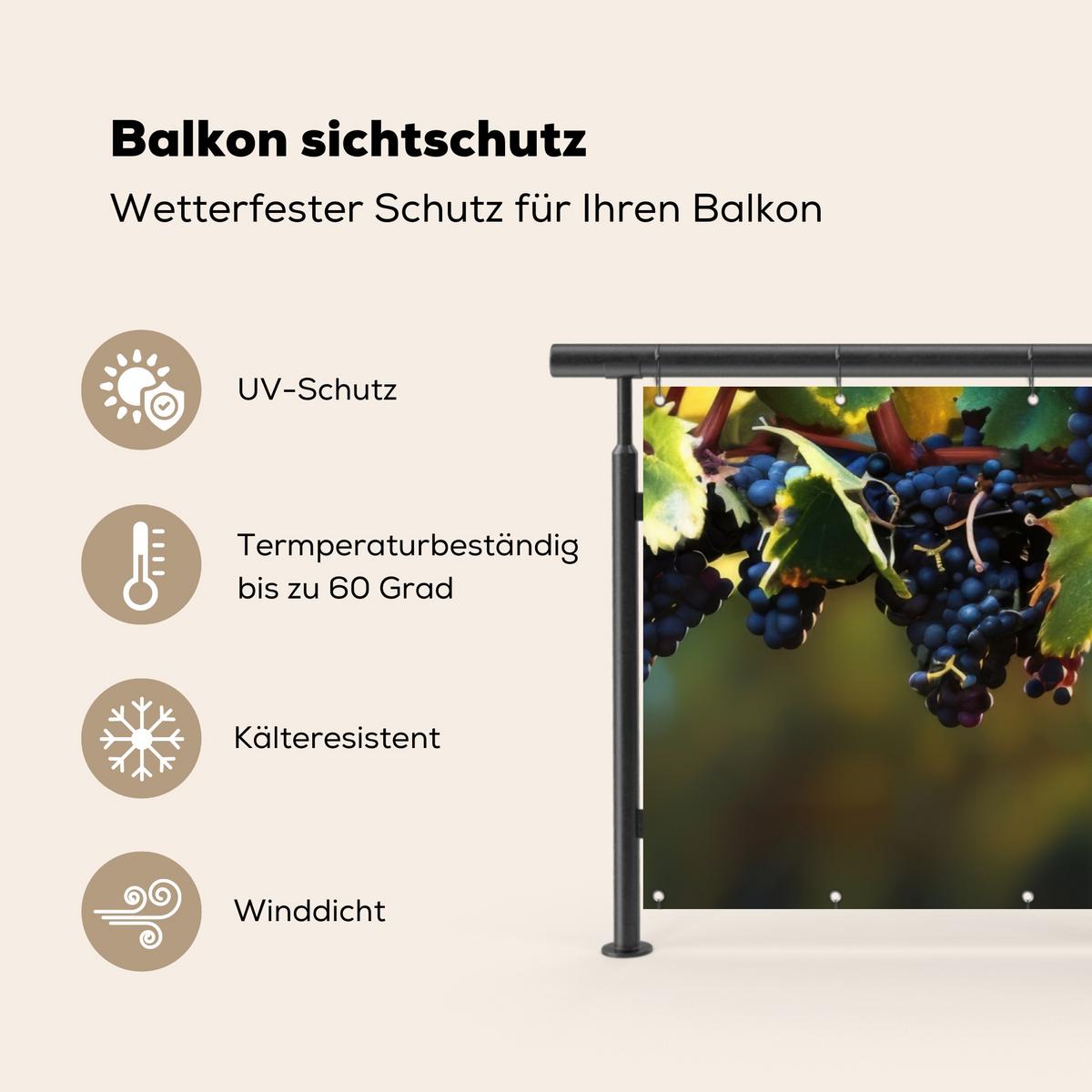 BALKON-SICHTSCHUTZ Trauben - Wein - Natur - Grün Witterungsbeständig 200x90 cm - Weinrot, Kunststoff (200/90cm) - MuchoWow