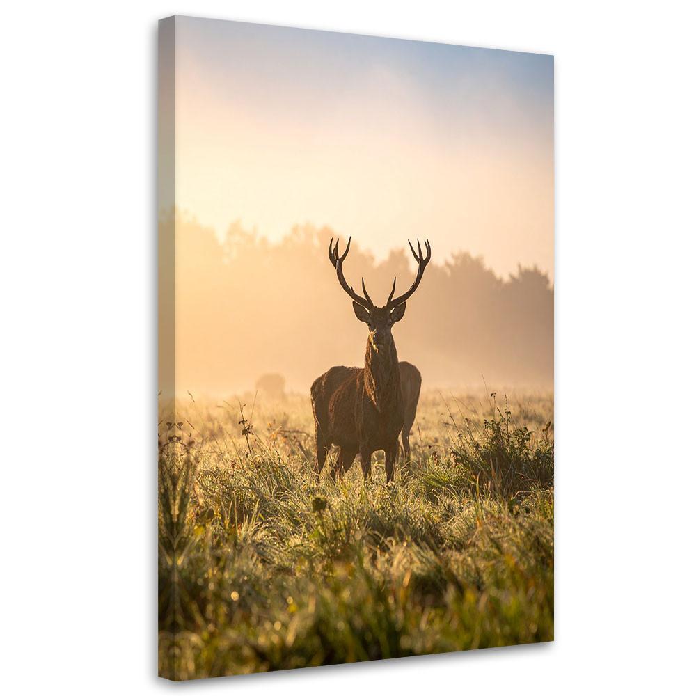 LEINWANDBILD Landschaft Hirsch auf der Brunft am Morgen 80x120cm - Beige, Textil (80/120cm) - Feeby