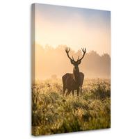 LEINWANDBILD Landschaft Hirsch auf der Brunft am Morgen 80x120cm - Beige, Textil (80/120cm) - Feeby