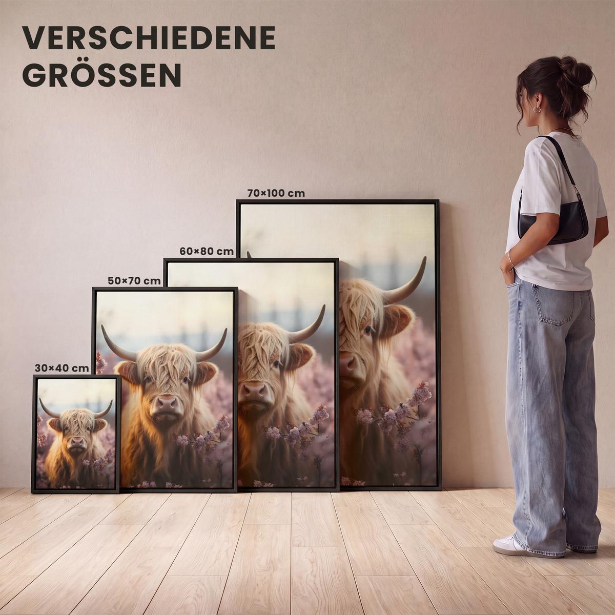 LEINWAND Bilder mit Rahmen - Schottischer Hochländer - Frühling - Hochland - 50x70 - Hellrosa, Textil (50/70cm) - MuchoWow