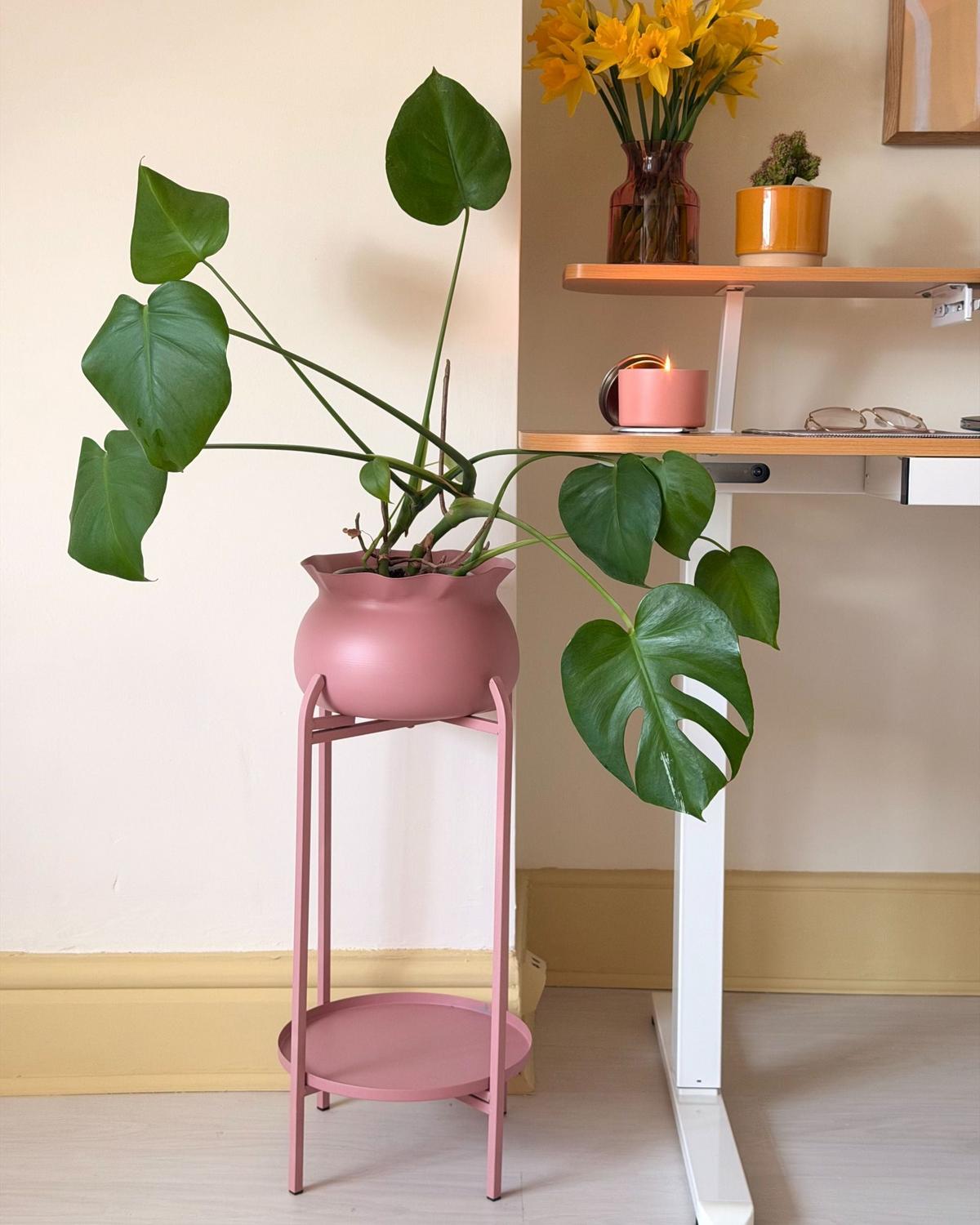 PFLANZENSTÄNDER Rosa Mokuren - Pink, Metall (60cm) - Beliani