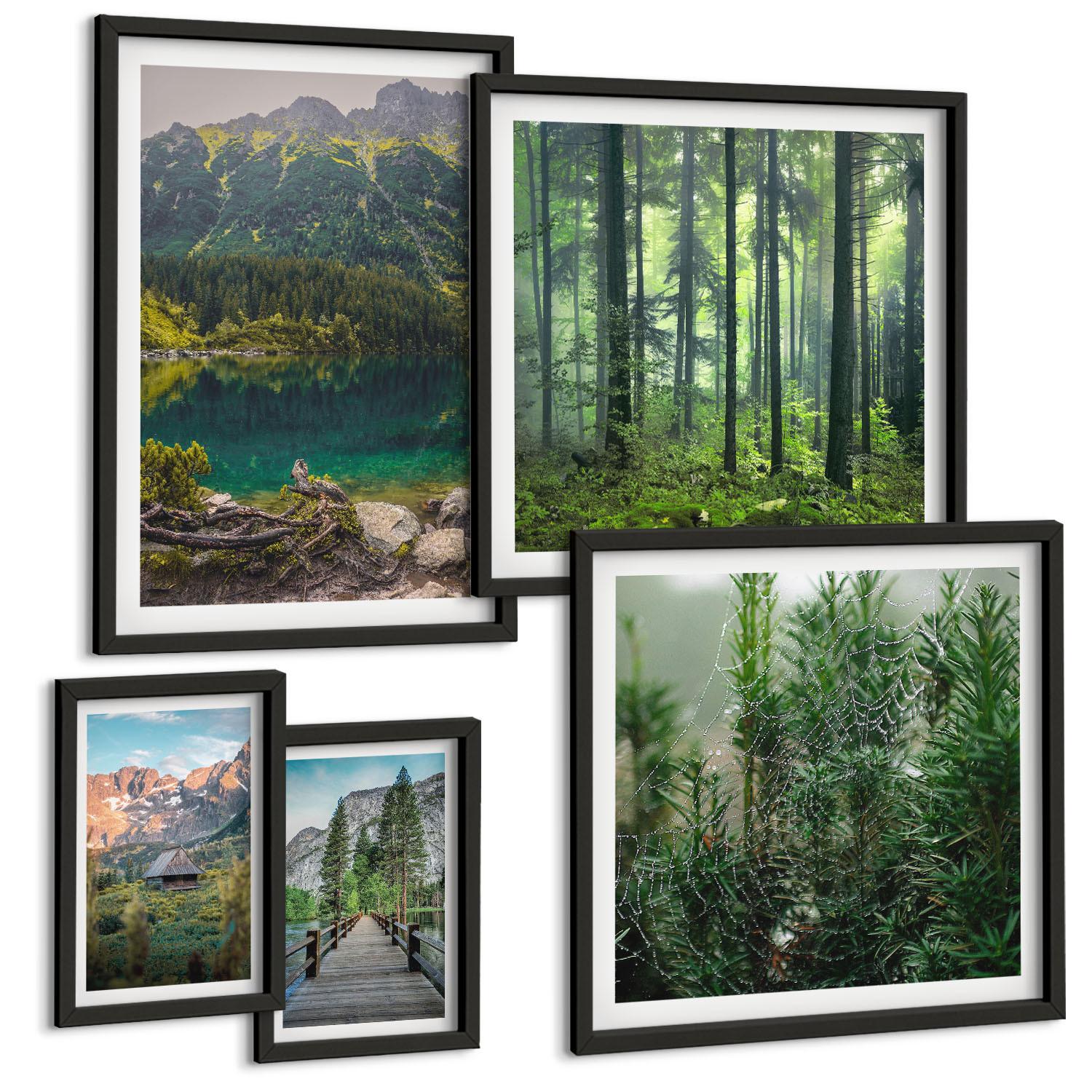 BILDER SET 5er Set - 50x50 cm & 20x30 cm & 40x60 cm Schwarzer Rahmen - Minimalistische Pflanzenzeichnungen - Schwarz, Kunststoff (40/60cm) - TULUP
