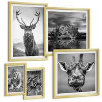 BILDER SET 5er Set - 50x50 cm & 20x30 cm & 40x60 cm Goldrahmen - Wildtiere Löwe Jaguar Giraffe Zebras - Goldfarben, Kunststoff (40/60cm) - TULUP