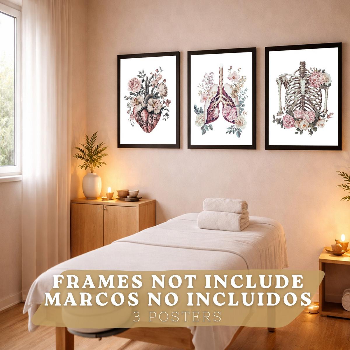 POSTER Set aus 3 Anatomie Florale Vintage Drucke und Wandbilder mit Herz Brustkorb und Lungen Detaillierter Illustrationsstil Größe Rahmenlos A3 - Klar, Papier (29.7/42/3cm) - Nacnic