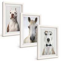 BILDER SET 3er Set - 20x30 cm Weißer Rahmen - Elegante Porträts von Hunden und Pferden - Weiß, Kunststoff (20/30cm) - TULUP