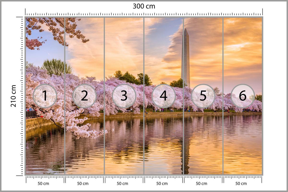 FOTOTAPETE Blühende Kirschbäume Fluss Natur Frühling Sonnenuntergang 300x210 - Blau/Gelb, Papier (300/210cm) - Muralo