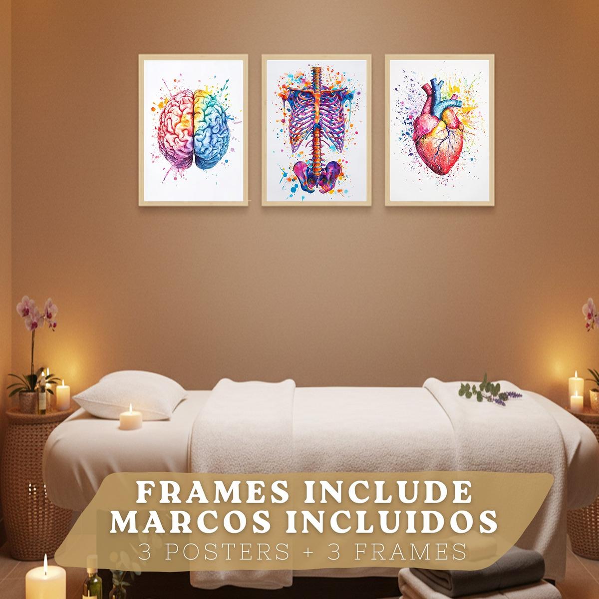 POSTER Set aus 3 Anatomie Mensch Drucke und Wandbilder mit Gehirn Herz Rippen Wirbelsäule Lebendiges Aquarell Design Größe Leichter Holzrahmen A4 - Beige, Papier (21/29.7/3cm) - Nacnic