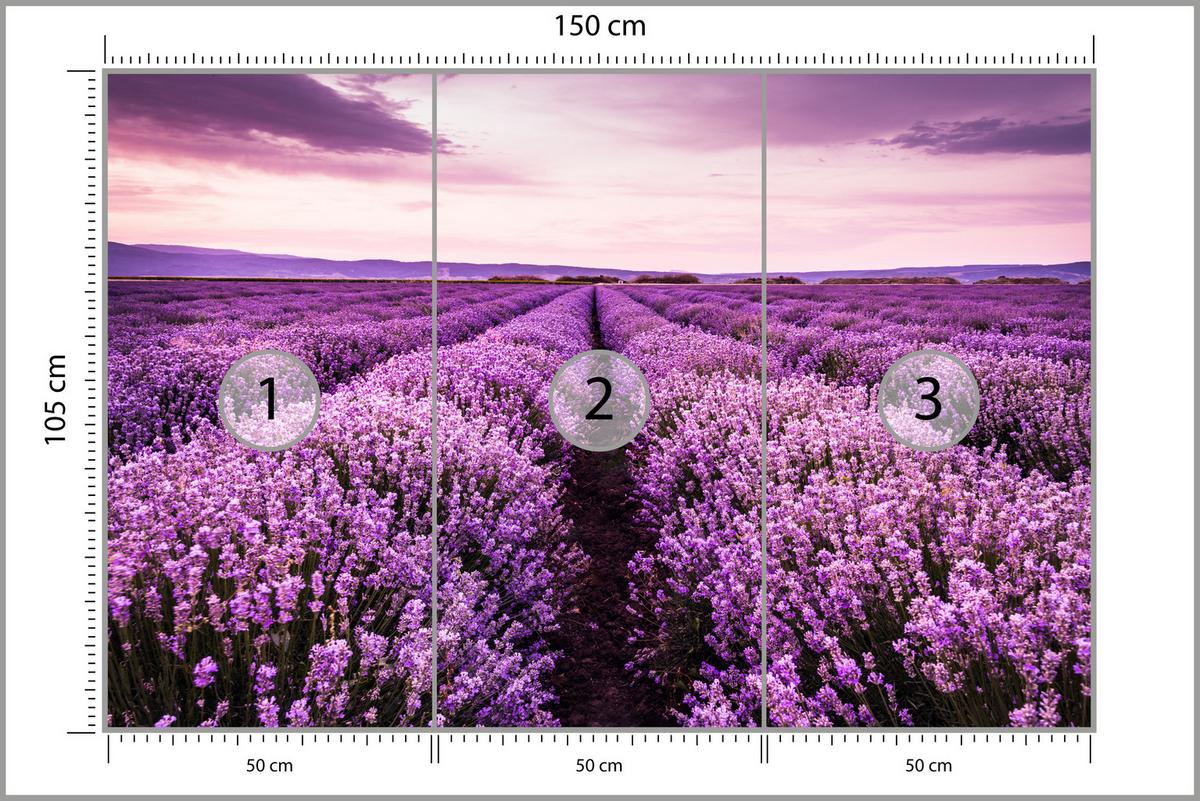 FOTOTAPETE für Schlafzimmer Lila Lavendel Wiese Harmonisch Romantisch 150x105 - Violett/Lila, Papier (150/105cm) - Muralo