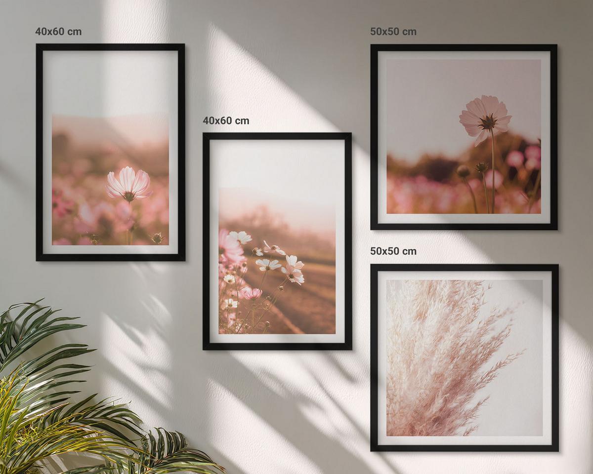 BILDER SET 4er Set - 50x50 cm & 40x60 cm Schwarzer Rahmen - Wildblumen auf den Wiesen im Sommer - Schwarz, Kunststoff (50/50cm) - TULUP
