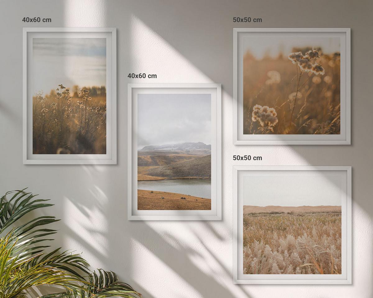 BILDER SET 4er Set - 50x50 cm & 40x60 cm Weißer Rahmen - Landschaften Wiesen Berge See - Weiß, Kunststoff (50/50cm) - TULUP