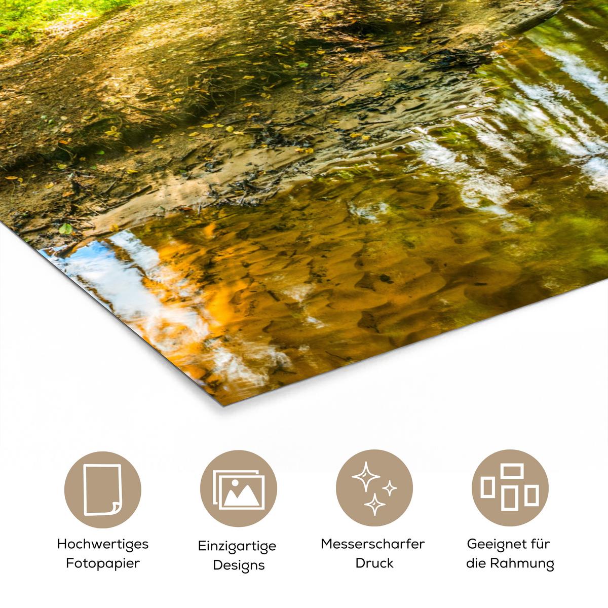 POSTER Wald - Landschaft - Wasser - Bäume - Sonne - Grün - Natur Room Decor 20x30 cm - Grün, Papier (20/30/0.1cm) - MuchoWow