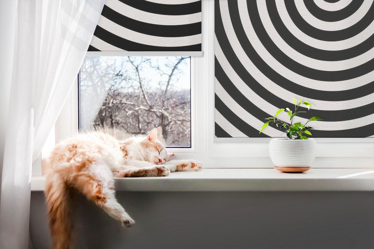 INNENROLLO - Fensterrollo - Rollo - 60x40 cm - Hypnotisierender Kreis - Schwarz, Kunststoff (60/140/0.5cm) - TULUP
