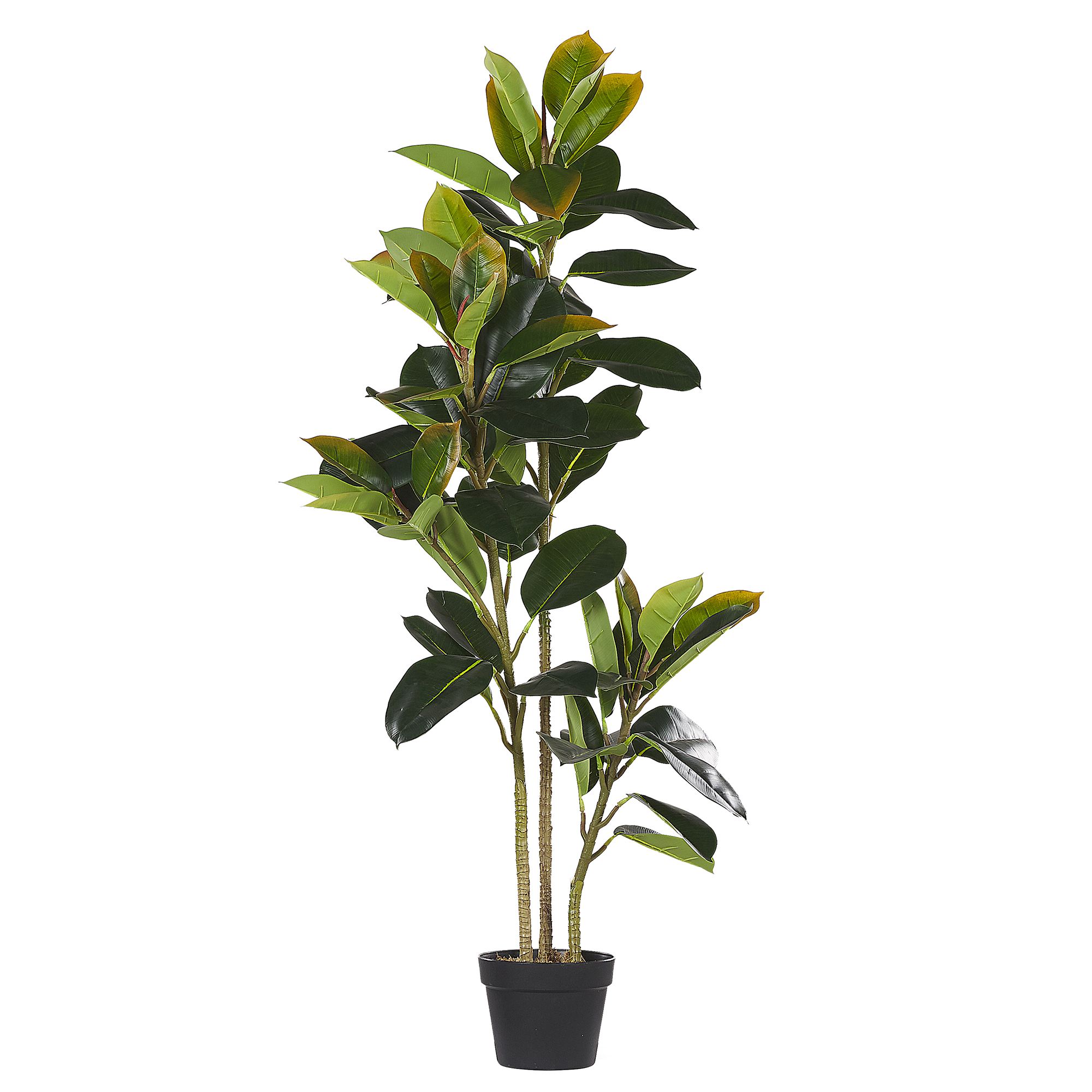 KUNSTPFLANZE Grün Ficus Elastica - Schwarz/Grün, Kunststoff (134cm) - Beliani