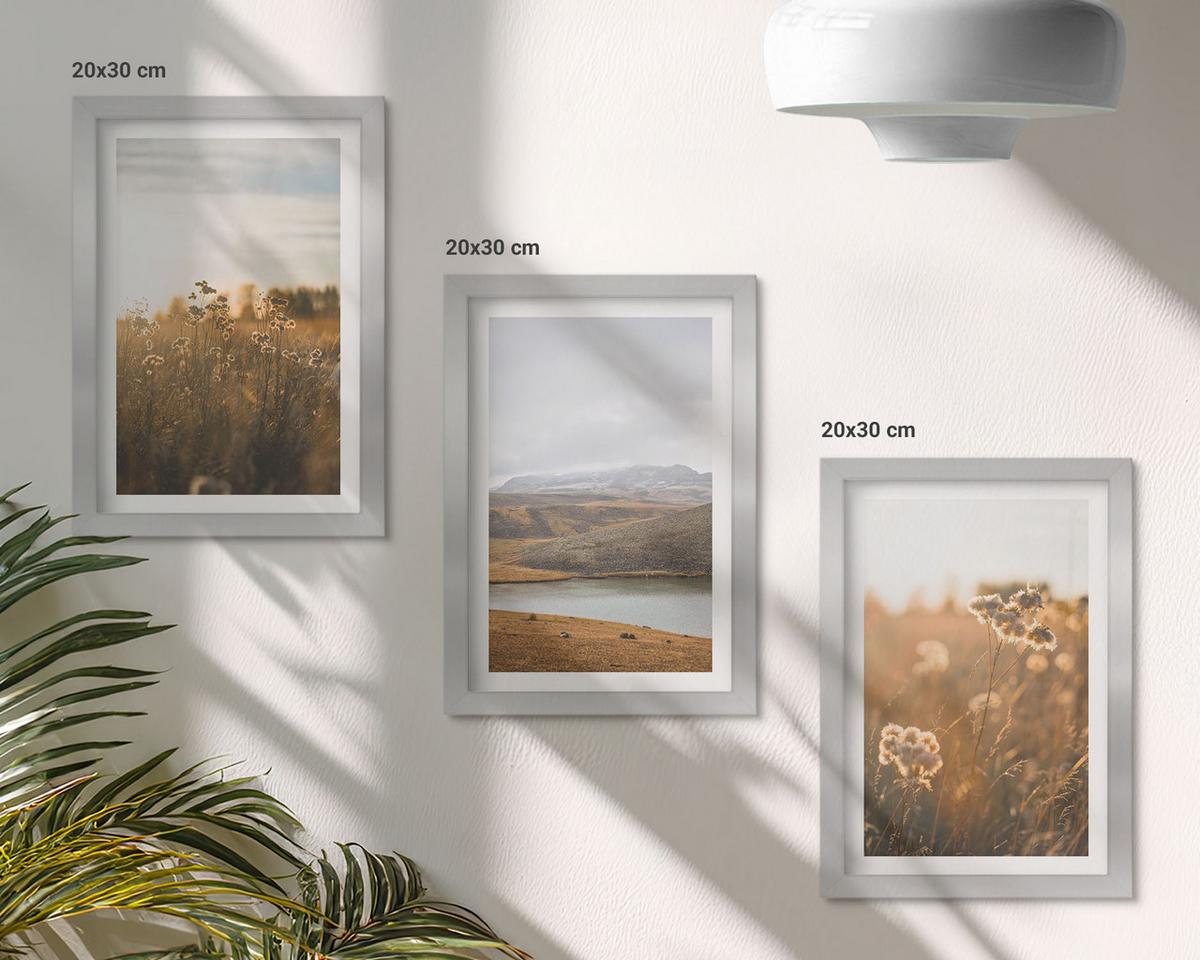 BILDER SET 3er Set - 20x30 cm Silberner Rahmen - Landschaften Wiesen Berge See - Silberfarben, Kunststoff (20/30cm) - TULUP
