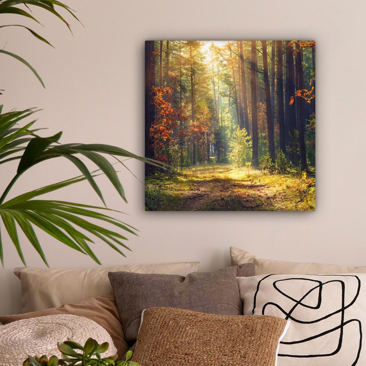LEINWANDBILD Wald - Herbst - Bäume Wandbild Wohnzimmer 50x50 cm - Dunkelgrün, Textil (50/50cm) - MuchoWow